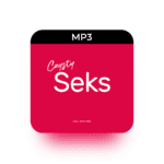 mp3