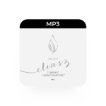 mp3