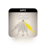 mp3