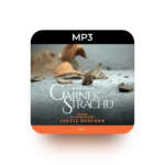 mp3