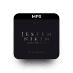 mp3
