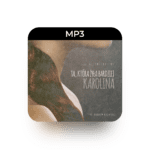 mp3