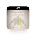 mp3