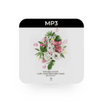 mp3