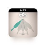 mp3