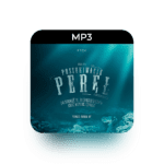 mp3