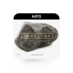 mp3